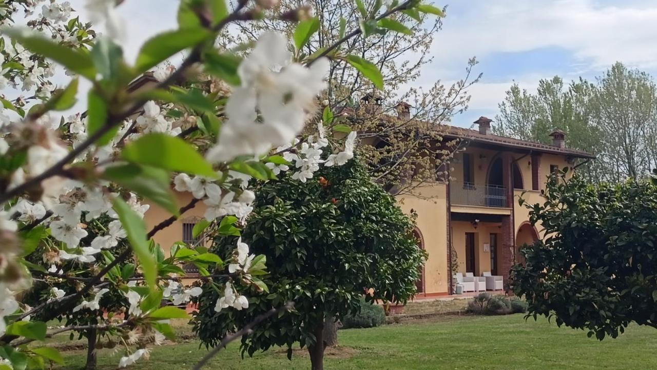Il Chiassetto Agriturismo No Kids Cascina Eksteriør billede