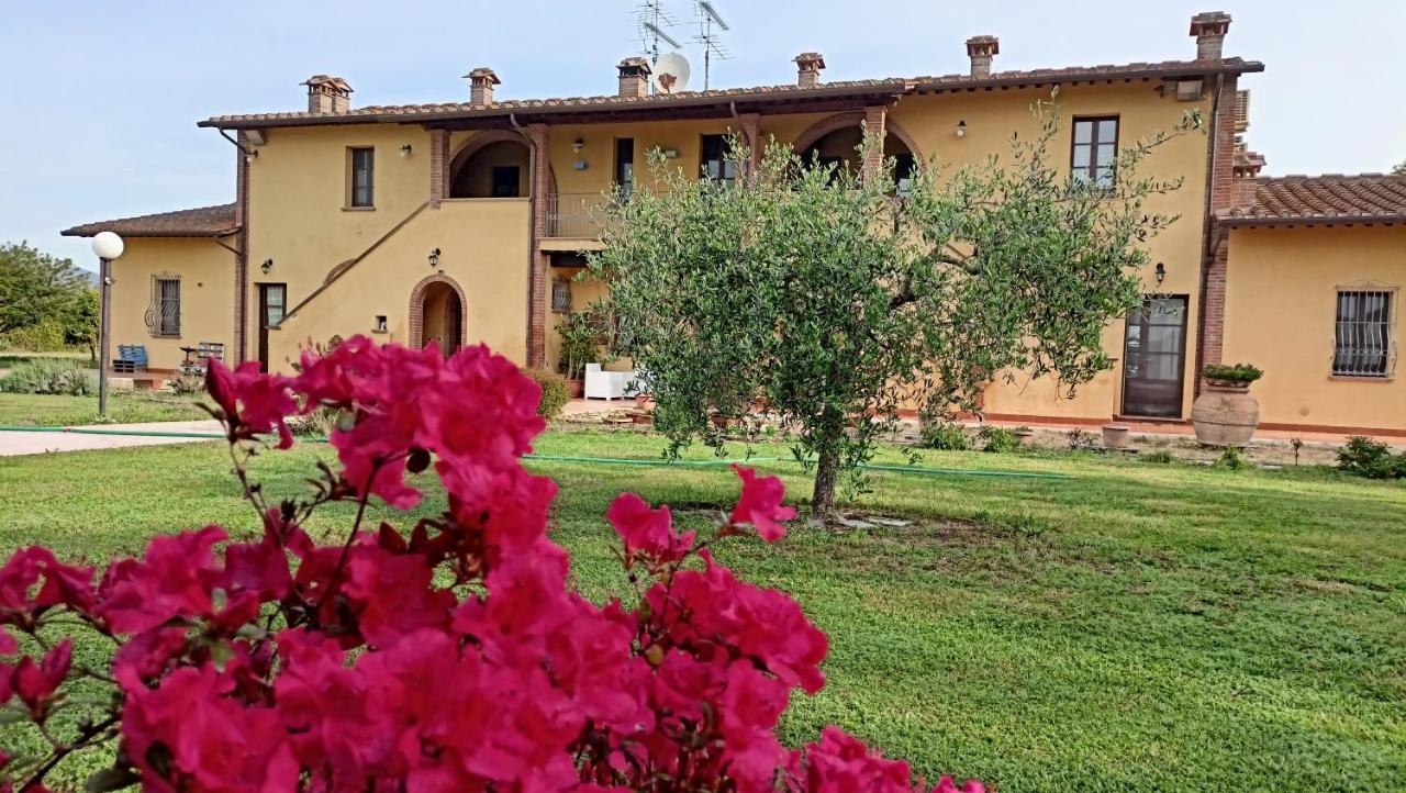 Il Chiassetto Agriturismo No Kids Villa Cascina Eksteriør billede