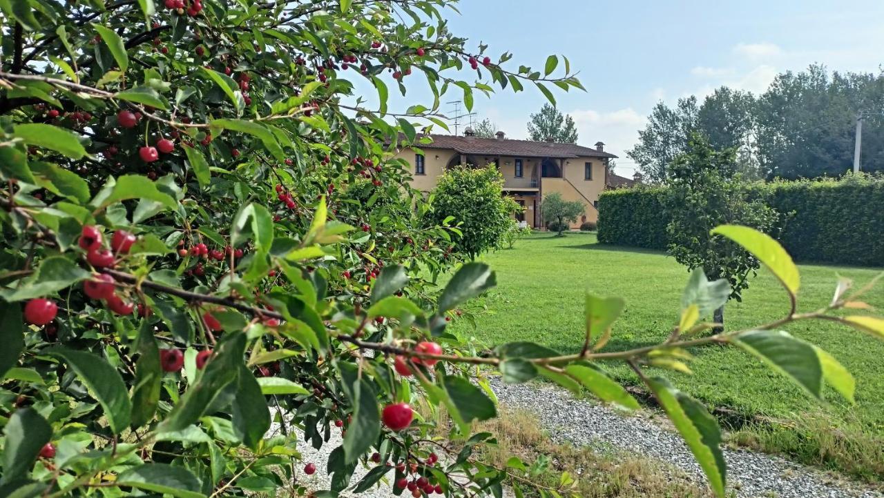 Il Chiassetto Agriturismo No Kids Villa Cascina Eksteriør billede