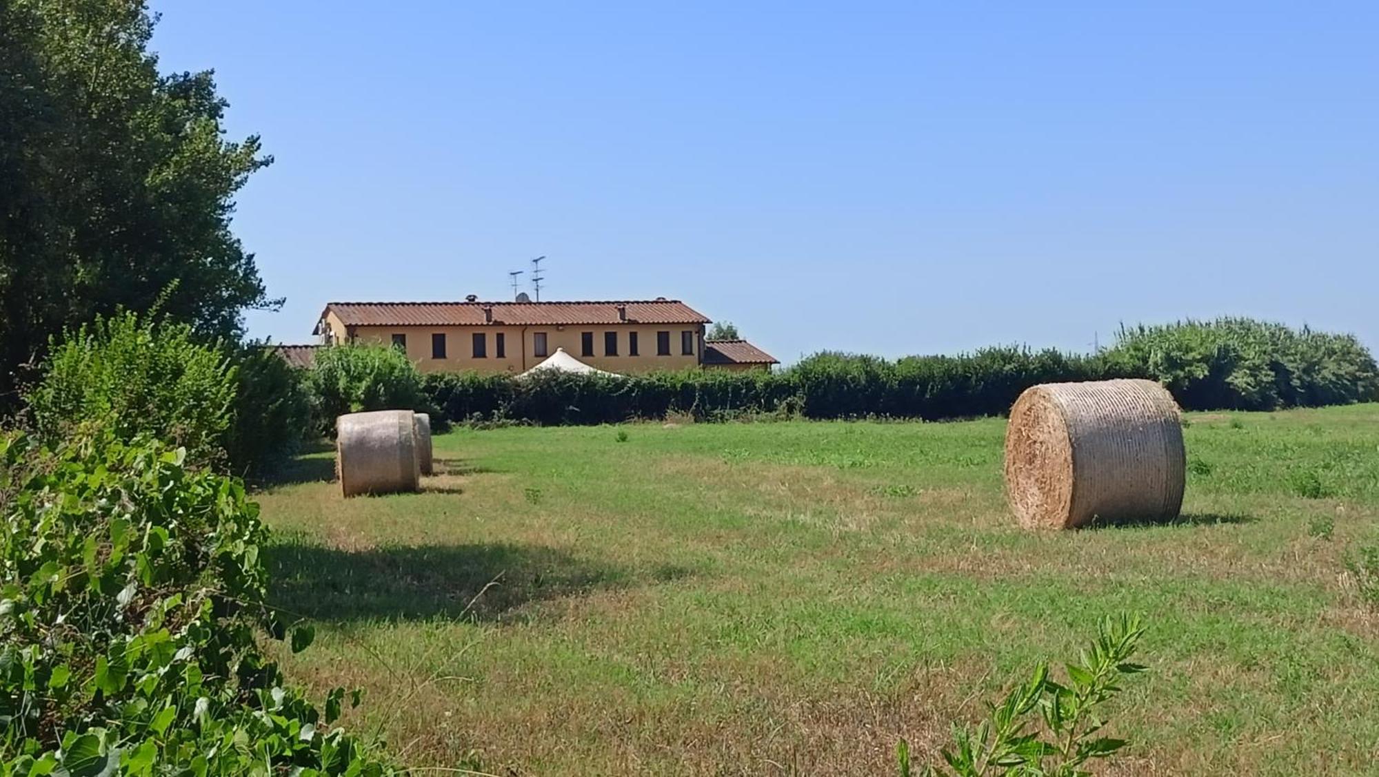 Il Chiassetto Agriturismo No Kids Cascina Eksteriør billede