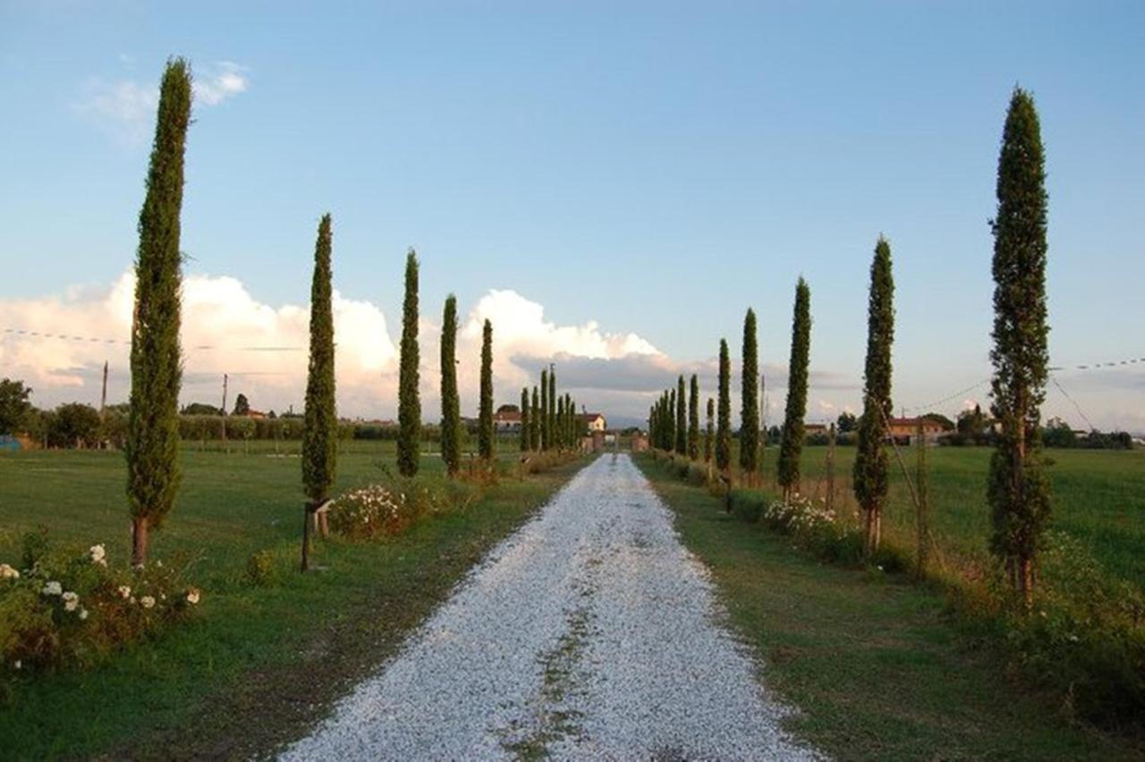 Il Chiassetto Agriturismo No Kids Villa Cascina Eksteriør billede